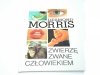 ZWIERZĘ ZWANE CZŁOWIEKIEM - Desmond Morris 1997